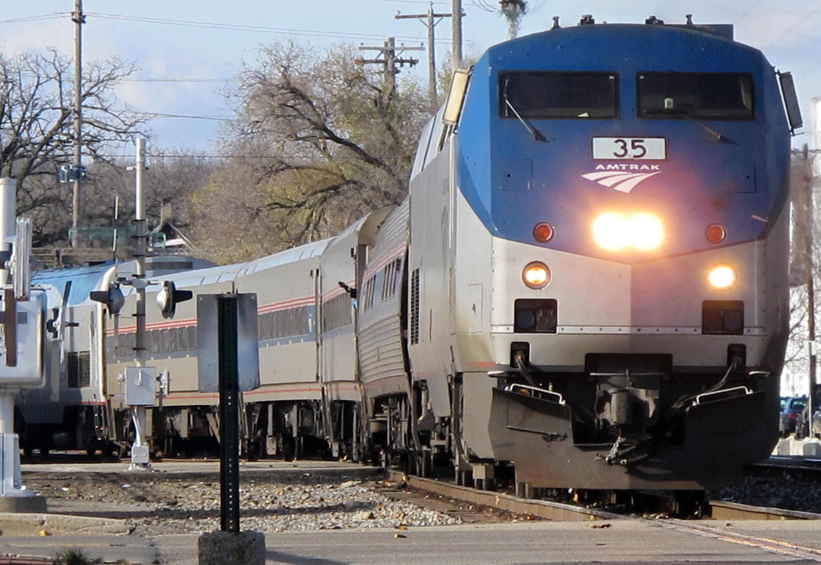 service dog on amtrak